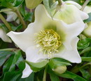 20060222.jpg