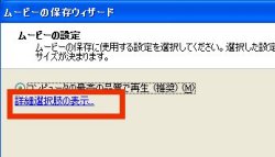 図表3　「詳細選択肢を表示」で細かく保存条件が選択できる